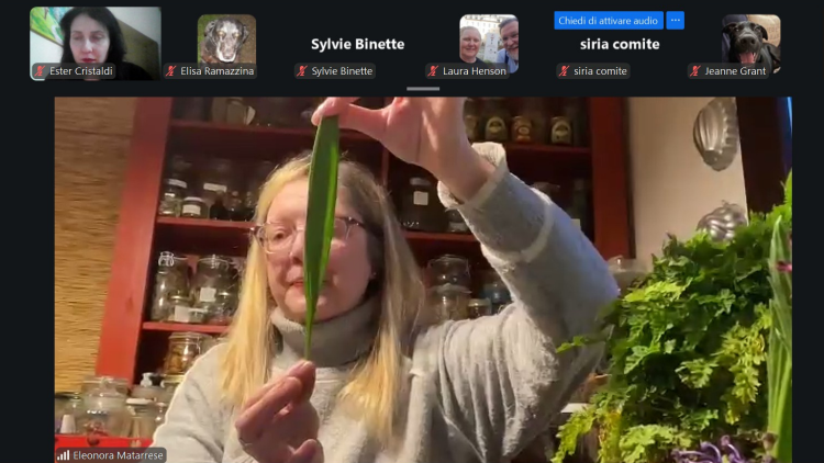 Entangled Histories’te Orta Çağ’dan günümüze bitki bilgisi ele alındı