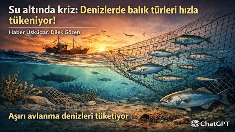 Su altında kriz: Denizlerde balık türleri hızla tükeniyor!