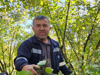 Karadenizli fındık üreticilerinin günümüzde ve ilerleyen yıllarda olabilecek şikayetleri ve çözümlerini bu haberimizde ele aldık.