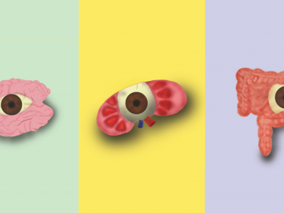 Genç tasarımcı Hacer Doğancı GMK Sergisi'nde